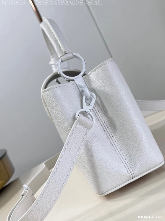 Aaa replica bags BB-29*16.5*9CM LOUIS VUITTON CAPUCINES 0816